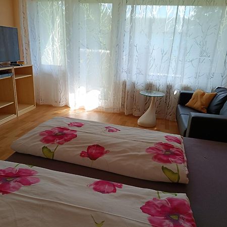 Offenburg Apartment Extérieur photo