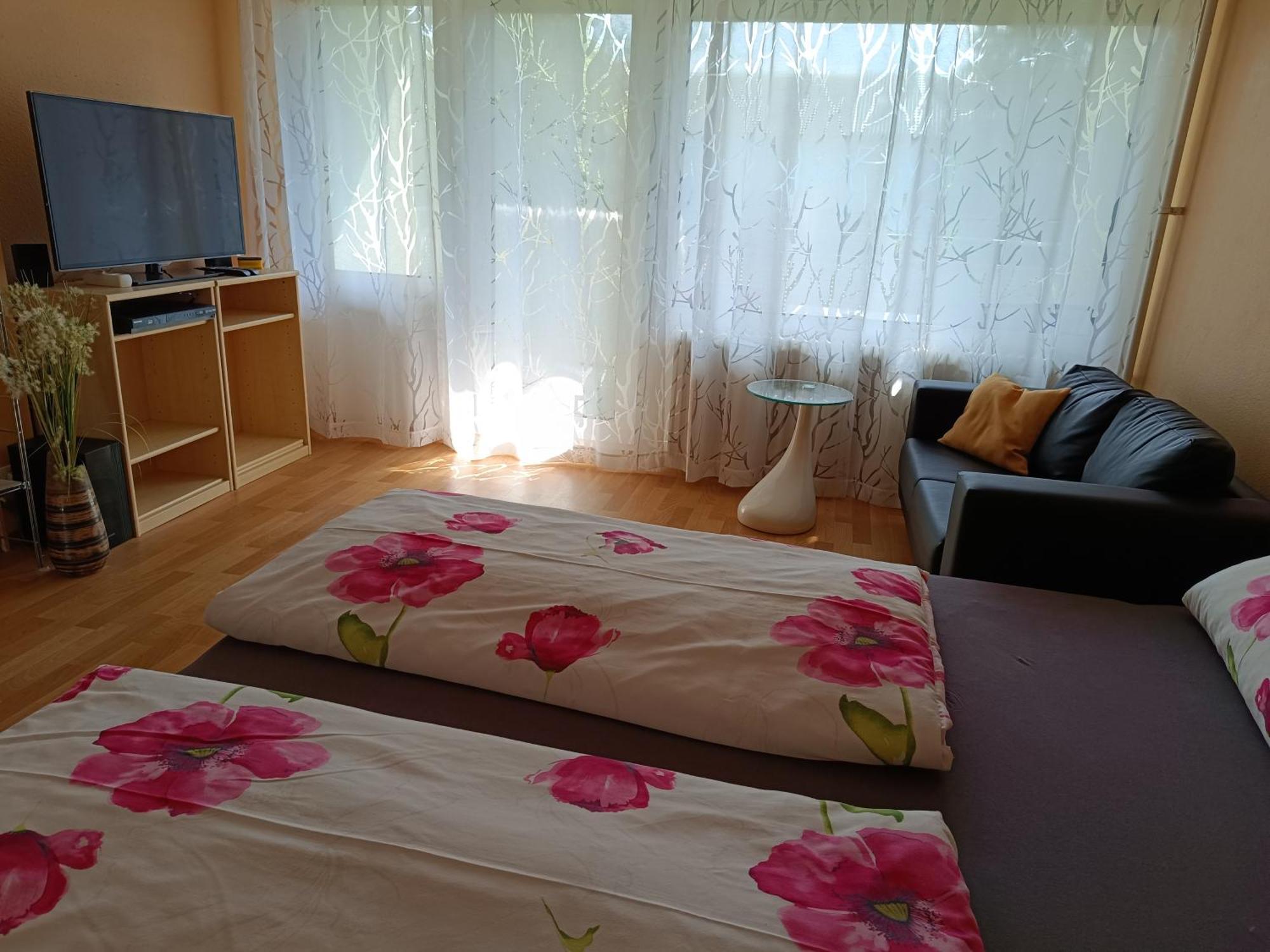 Offenburg Apartment Extérieur photo